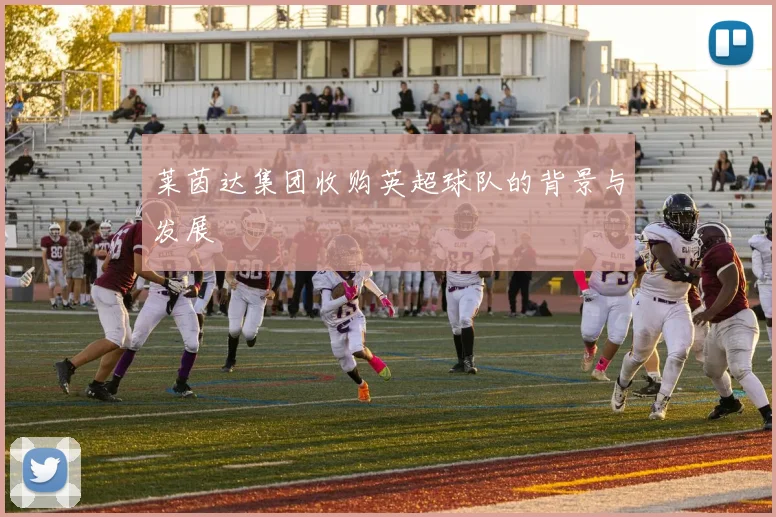 莱茵达集团收购英超球队的背景与发展